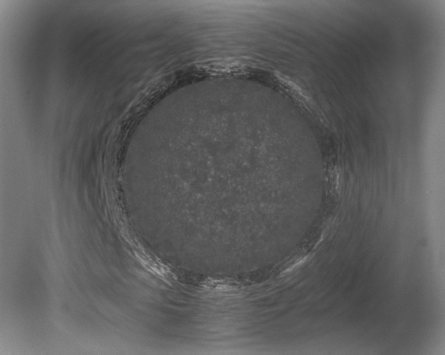 X0000080680913200612151219