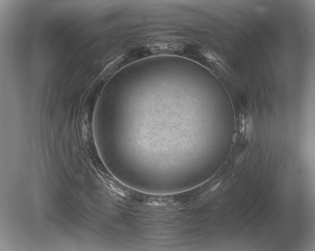 X0000080680915200612151219