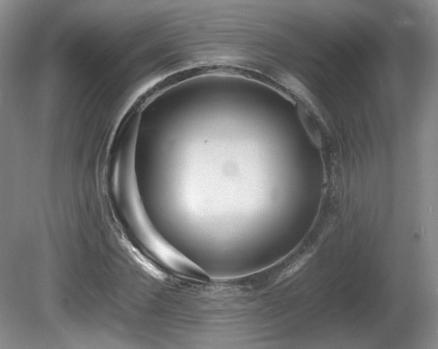 X0000080680924200612151219