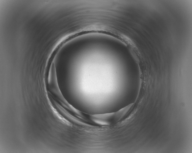 X0000080680942200612151219