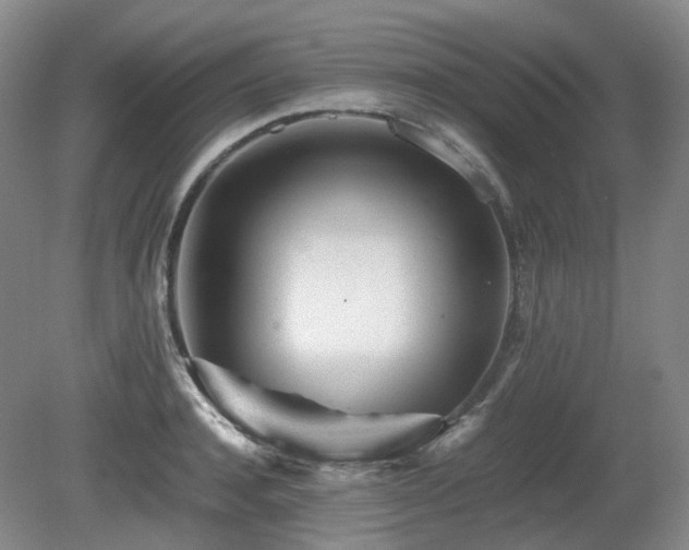 X0000080680944200612151219