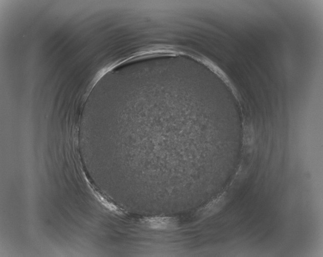 X0000080680953200612151219