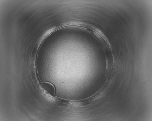 X0000080680954200612151219