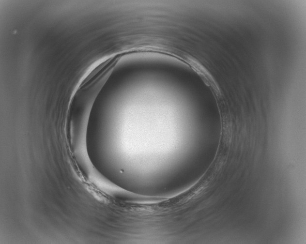 X0000080680956200612151219