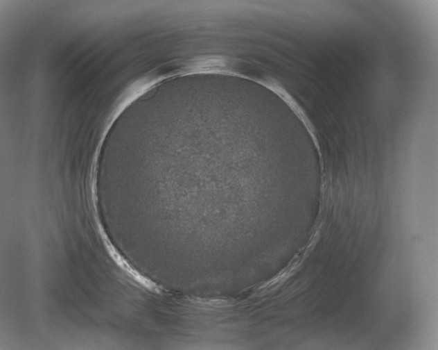 X0000080680957200612151219