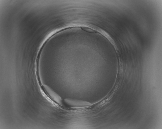 X0000080680958200612151219