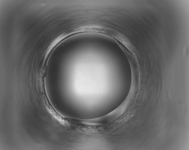 X0000080680960200612151219
