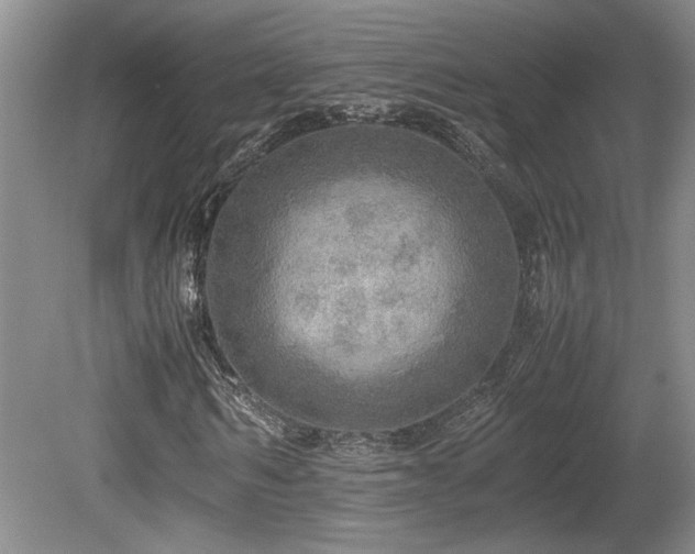X0000080680962200612151219