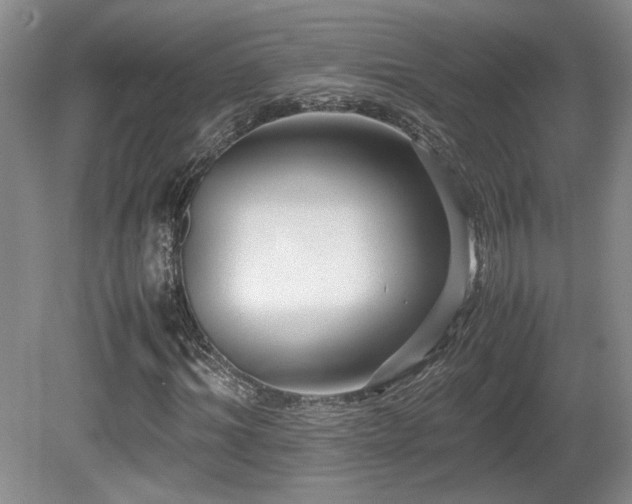X0000080680964200612151219