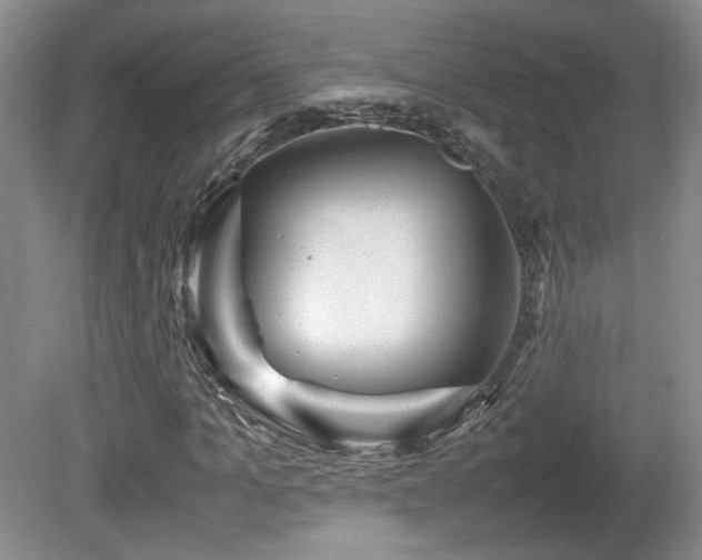 X0000080680965200612151218