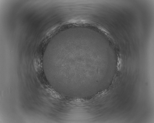 X0000080680966200612151218