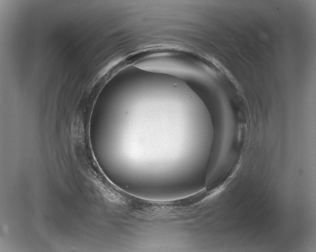 X0000080680969200612151218