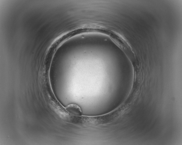 X0000080680971200612151218