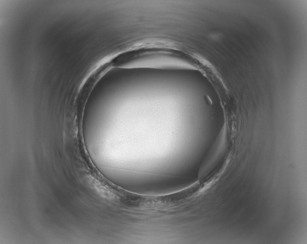 X0000080680973200612151218