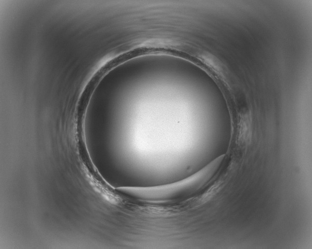 X0000080680976200612151218
