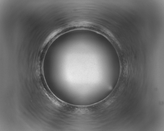 X0000080680978200612151218