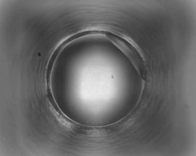 X0000080680980200612151218