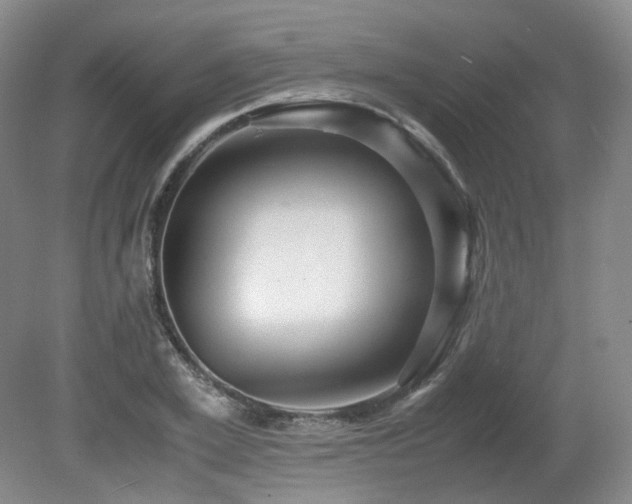 X0000080680981200612151218