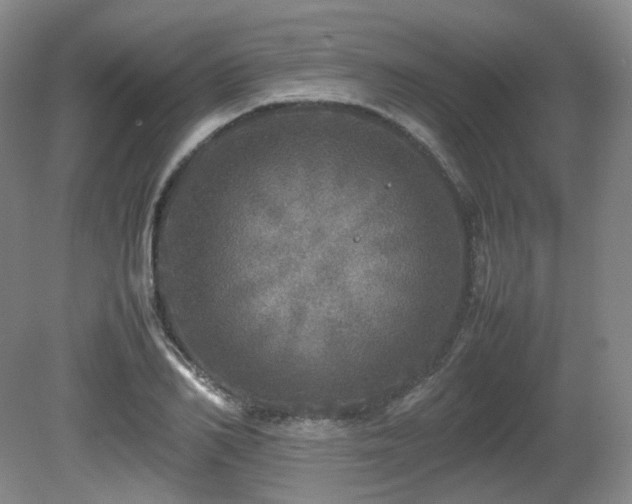 X0000080680982200612151218