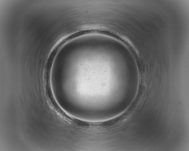 X0000080680983200612151218