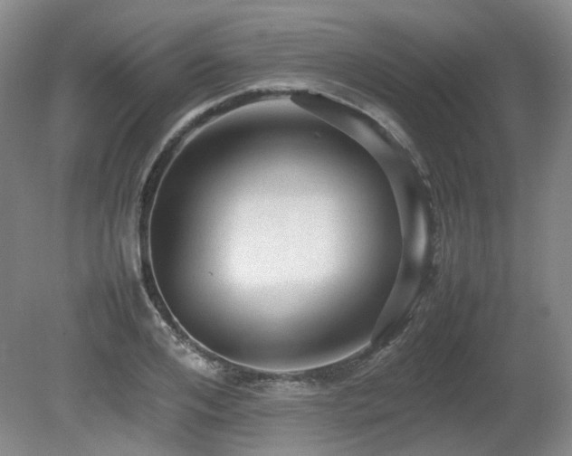 X0000080680984200612151218