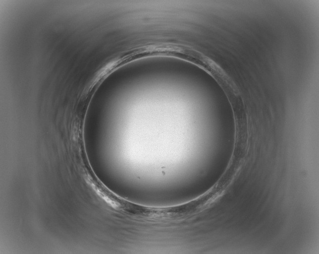 X0000080680985200612151218