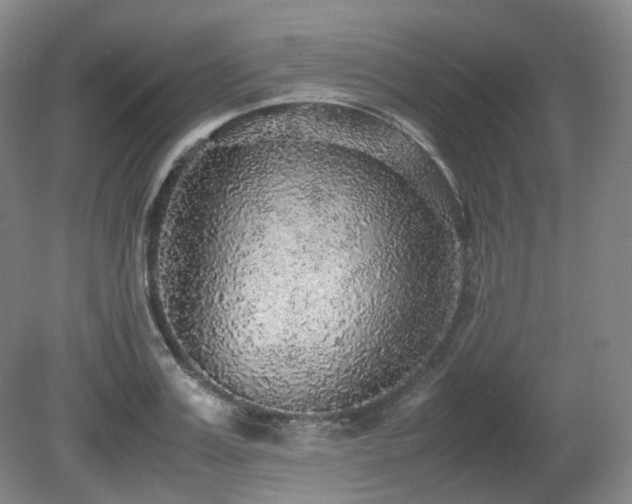 X0000080680987200612151218