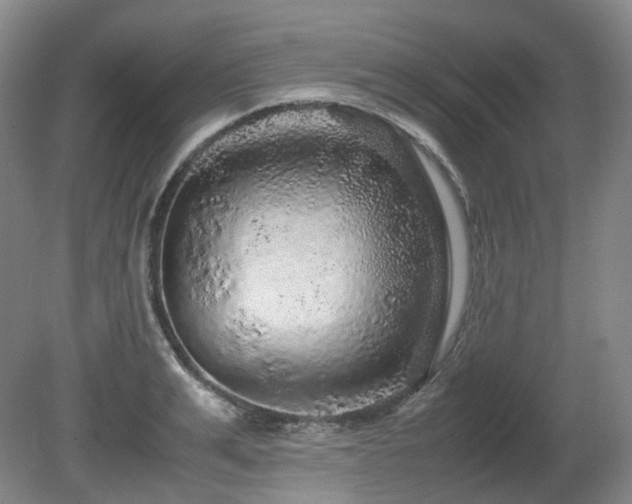 X0000080680991200612151218