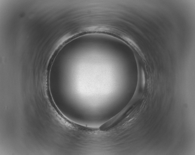 X0000080680992200612151218