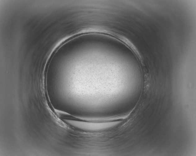 X0000080680996200612151218