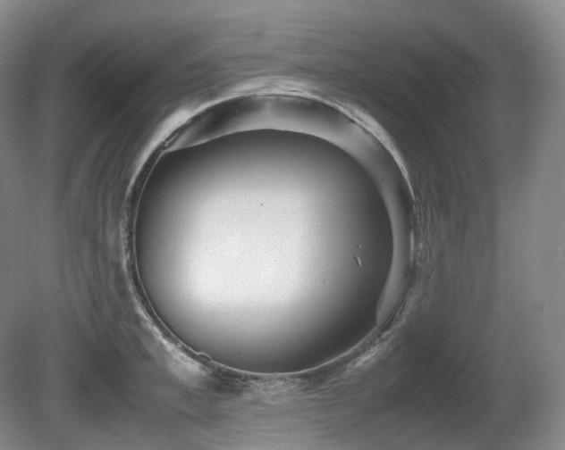 X0000080680997200612151218