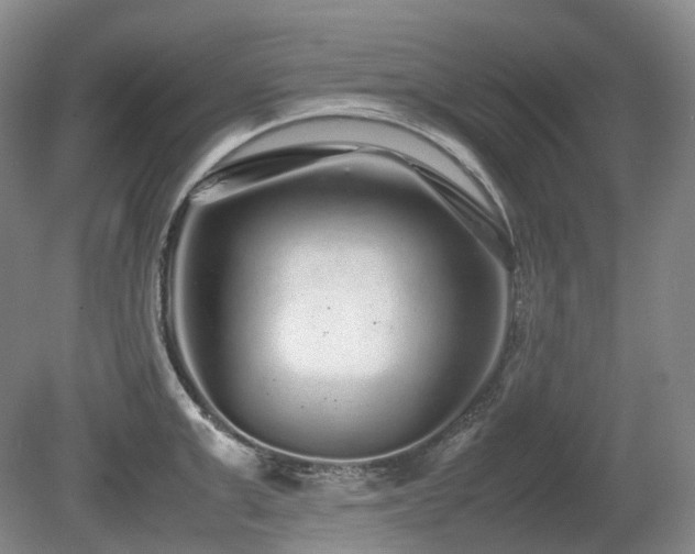 X0000080680999200612151218