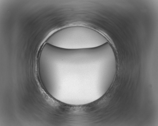 X0000080681000200612151218