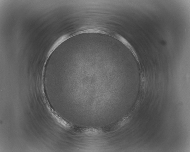 X0000080681002200612151218