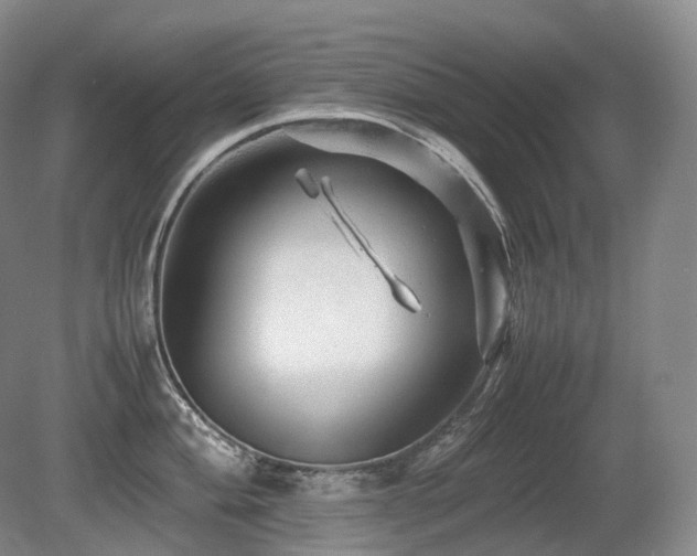 X0000080681004200612151218
