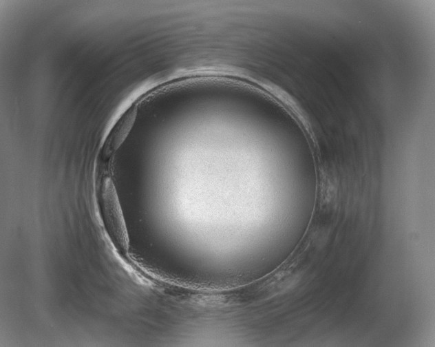 X0000080681006200612151218