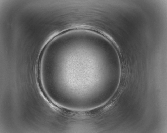 X0000080681007200612151218