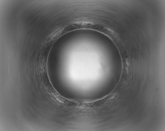X0000080681014200612151217