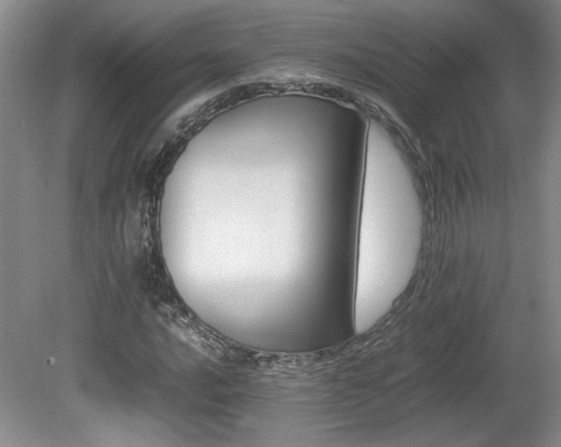 X0000080681016200612151217