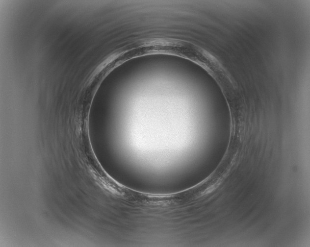X0000080681017200612151217