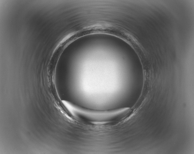 X0000080681018200612151217