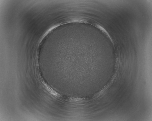 X0000080681019200612151217