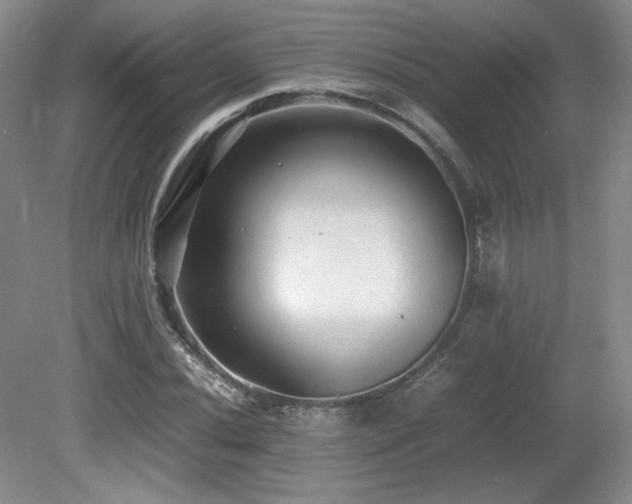 X0000080681020200612151217