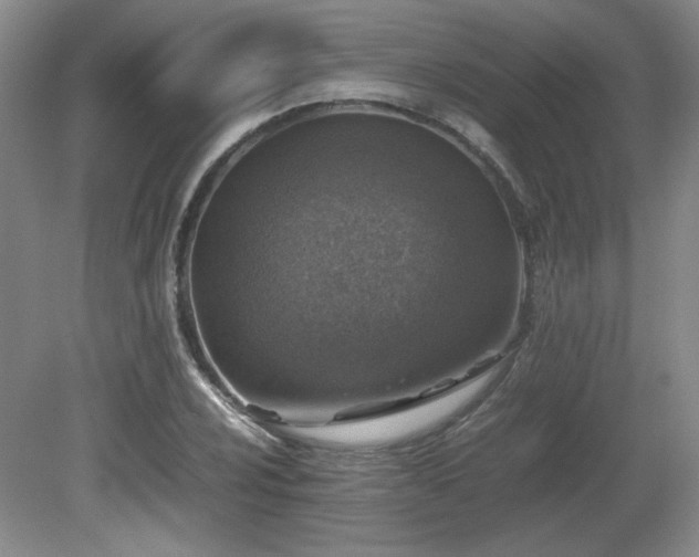 X0000080681024200612151217