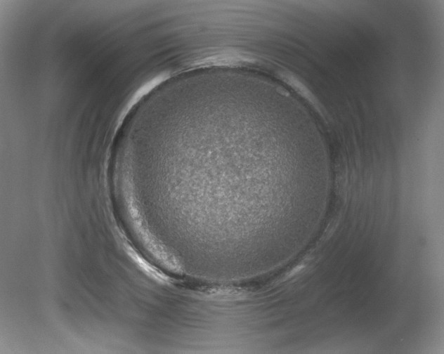 X0000080681026200612151217