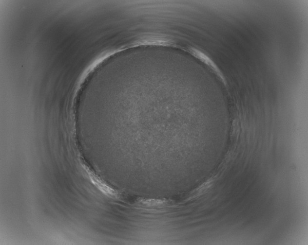 X0000080681027200612151217