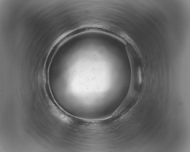X0000080681028200612151217