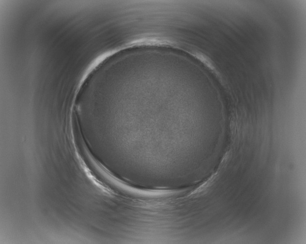 X0000080681030200612151217
