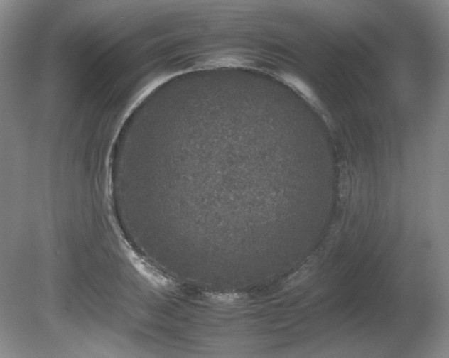 X0000080681031200612151217