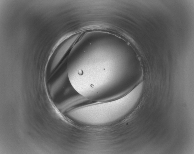 X0000080681034200612151217